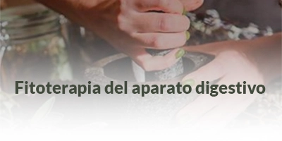 11.Fitoterapia del aparato digestivo Fitoterapia del aparato digestivo