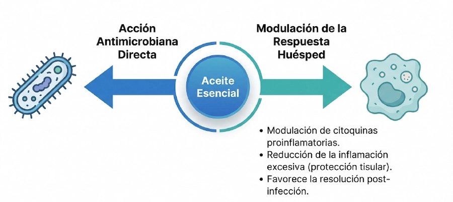 Diagrama de acción dual de aceites esenciales: antimicrobiana directa y modulación de respuesta huésped.