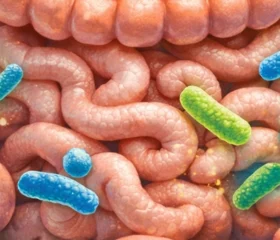 El intestino como eje terapéutico