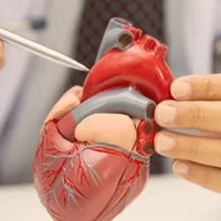 Destacada cardiologia integrativa-355x266px