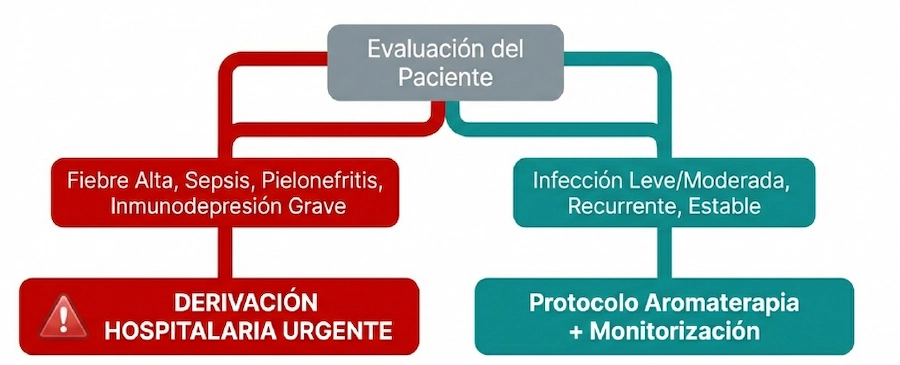La evaluación del paciente define la viabilidad del tratamiento: seguridad, interacciones y límites de toxicidad.