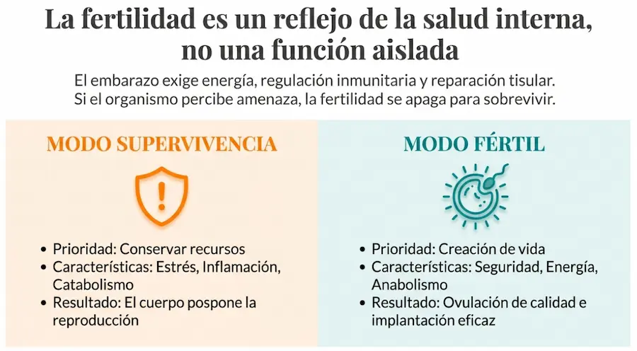 Fertilidad y salud metabólica: modo supervivencia vs modo fértil.