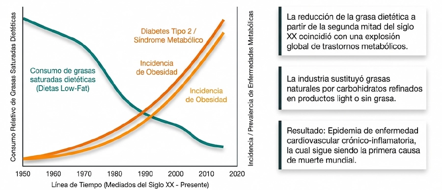 Gráfico histórico: consumo de grasas saturadas vs. incidencia de obesidad y diabetes tipo 2.