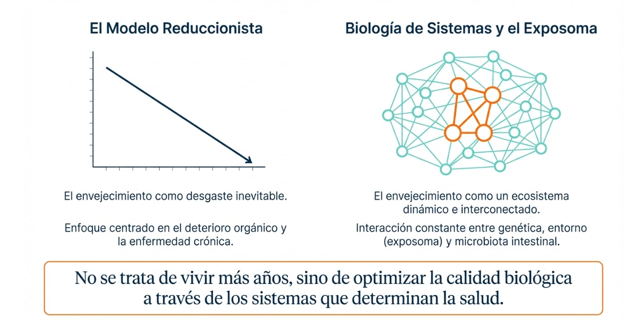 Modelo de biología de sistemas y microbiota en el envejecimiento saludable