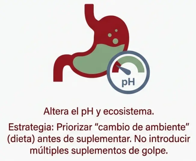 Impacto del pH gástrico en el ecosistema intestinal y estrategia de cambio de ambiente antes de suplementar.