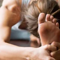 aparato-locomotor-355x266