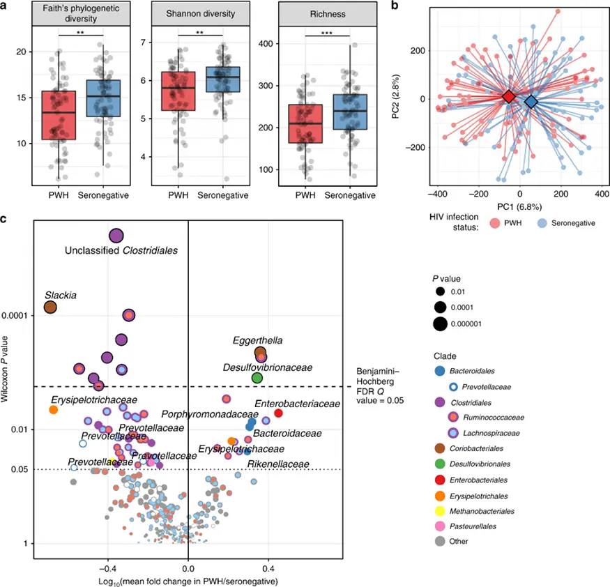 Las diferencias en la composición de la microbiota intestinal son evidentes dentro de los subgrupos de práctica sexual