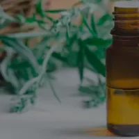 destacada-aceites-esenciales