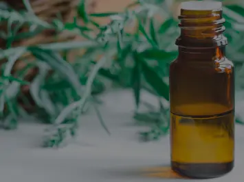 destacada-aceites-esenciales