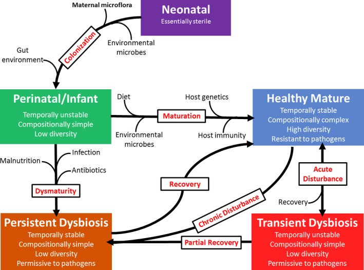 Ciclo de disbiosis y Microbioma por la Escuela de Salud Integrativa
