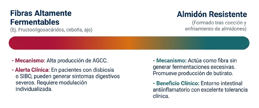 Sustratos para la microbiota Comparación entre fibras fermentables y almidón resistente como alimento para la microbiota