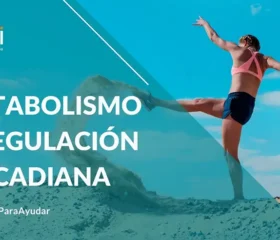 Metabolismo y regulación circadiana