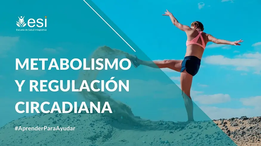 Metabolismo y regulación circadiana