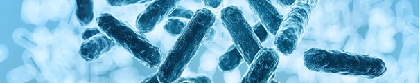 microbiota-600