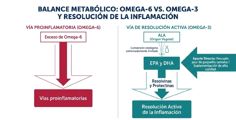 Balance omega-6 omega-3 Comparación entre vías proinflamatorias omega-6 y mecanismos de resolución asociados a omega-3