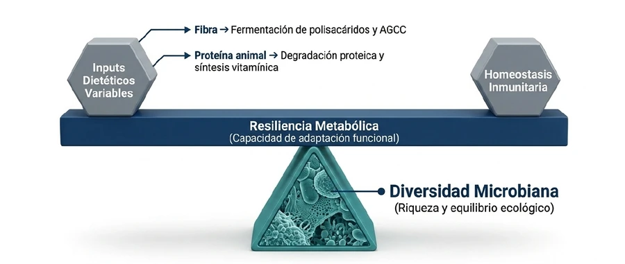 Diversidad y resiliencia intestinal Diversidad microbiana como soporte de resiliencia metabólica e inmunitaria