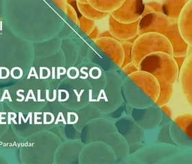 Tejido adiposo en la salud y en la enfermedad