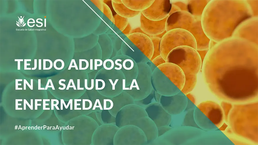 Tejido adiposo en la salud y en la enfermedad